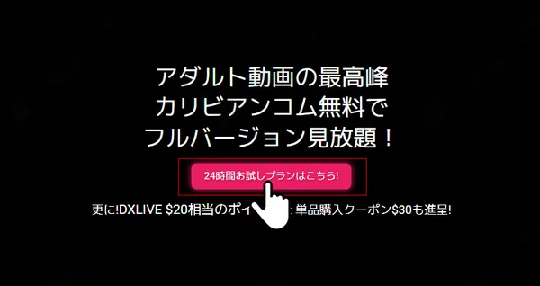 24時間無料キャンペーン専用ページの例（パターン2）