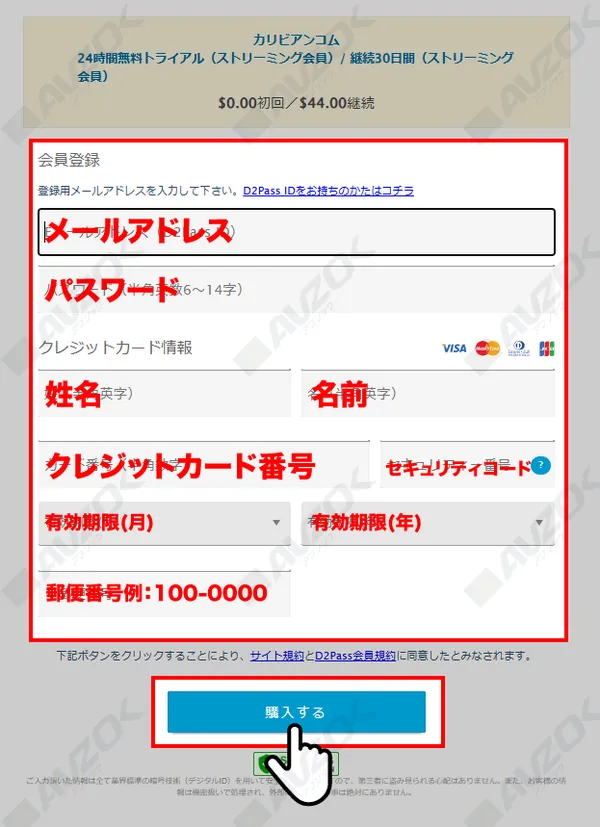 カリビアンコムの24時間無料プラン申し込みフォーム画面の例