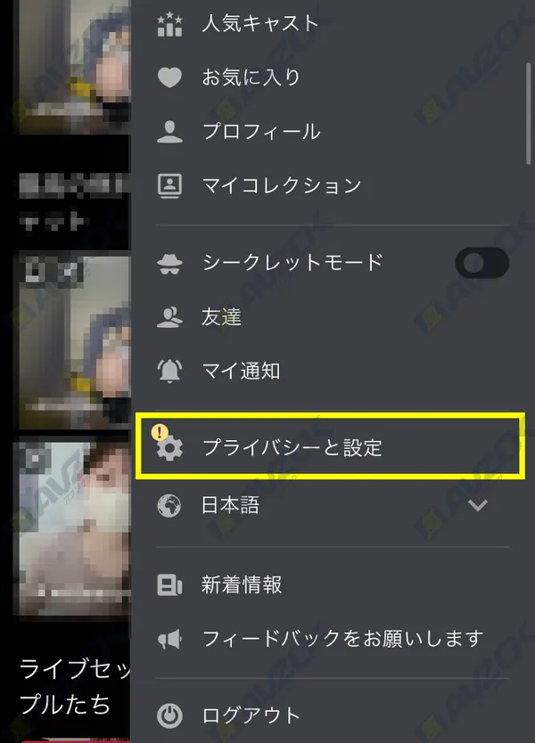 STRIPCHATのアカウント設定画面