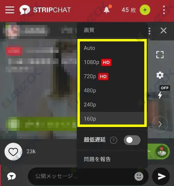 視聴画面が停止した際のSTRIPCHATトラブル画面